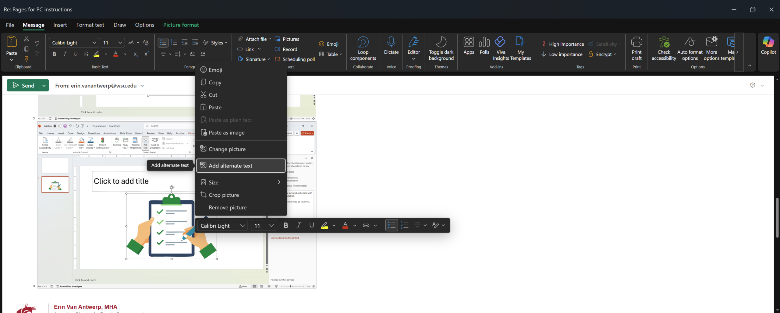 Highlighted area shows the location of the Add alternate text button.